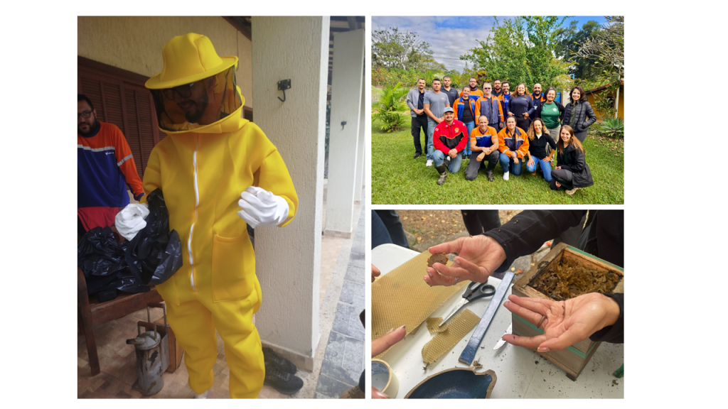 Rescue and Handling of Native Bees, Wasps, and Apis mellifera