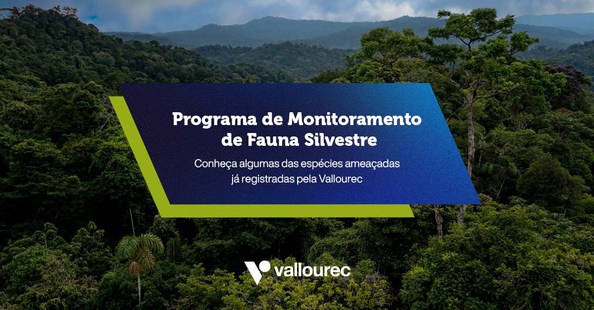 CARROSSEL-Programa_Monitoramento_Fauna_Página_1
